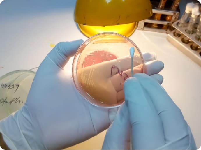 Scientist holding a vial